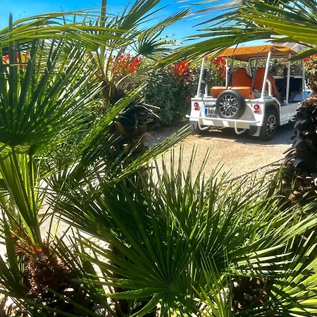 Largo L Pool & Beachside L Shellter